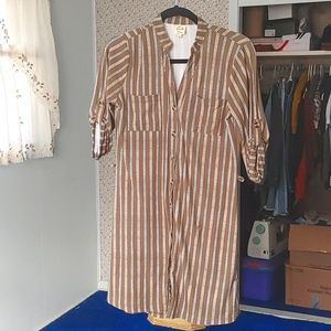 Green White Stripe 205 Collins Shirt Dress